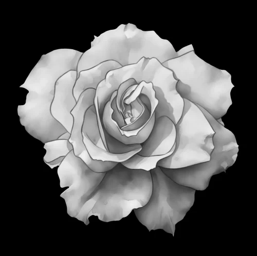 Цветок 002 (роза)