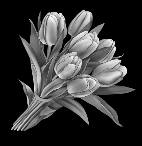 Цветы 064 (тюльпаны)