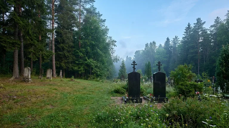 Аллея и захоронения на Мехзаводском кладбище в Самаре